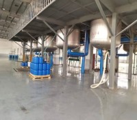 Polyhexamethyleneguanidine environmental