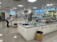 Poly hexamethylene biguanide 99% powder