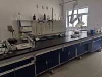 Glyceryl Caprylate