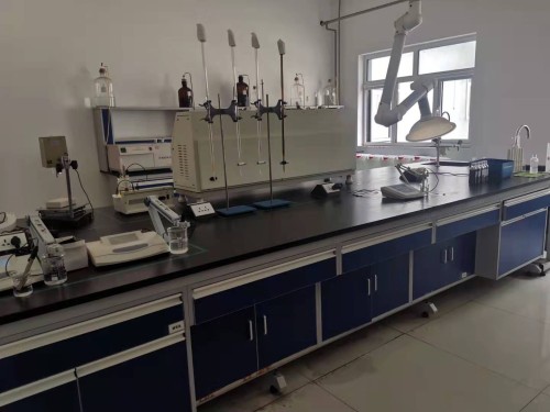 Glyceryl Caprylate