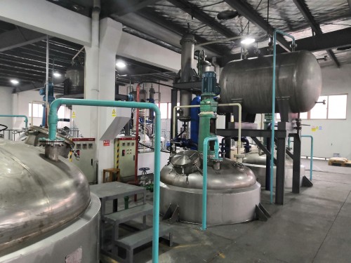 Polyhexamethyleneguanidine care solution fungicide