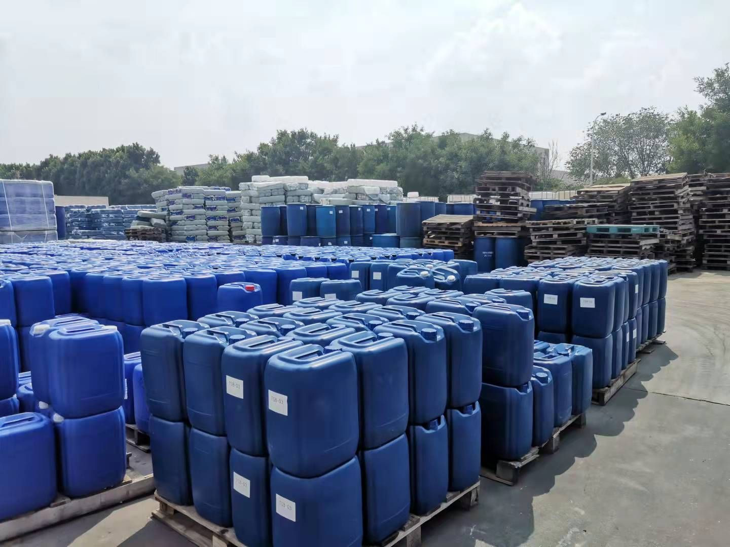 Polyhexamethylene Guanidine Hydrochloride (PHMG-HCl)
